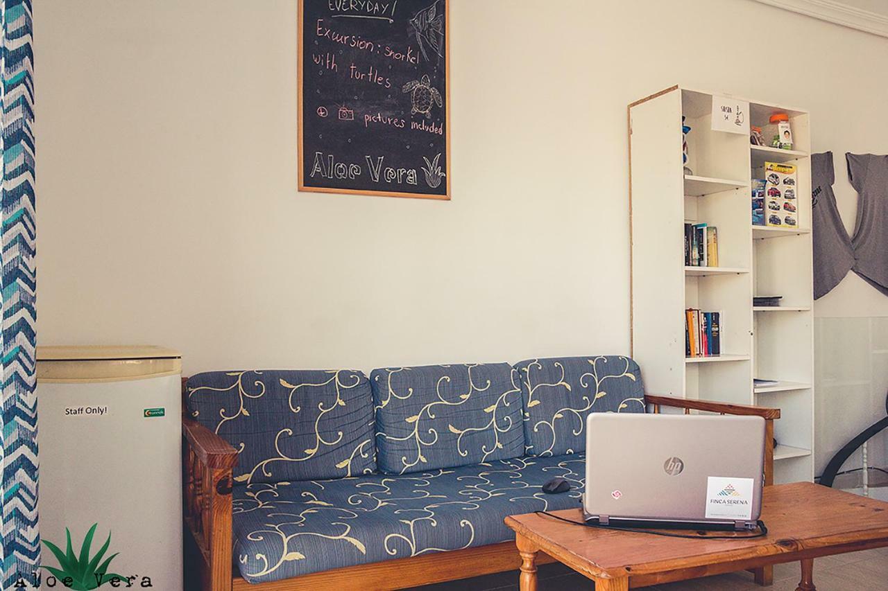 Aloe Vera Shared House El Médano Zewnętrze zdjęcie
